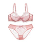 Embroidery Bras Underwear Women Set Plus Size Lingerie Sexy C D Cup Ultrathin Transparent Bra eprolo