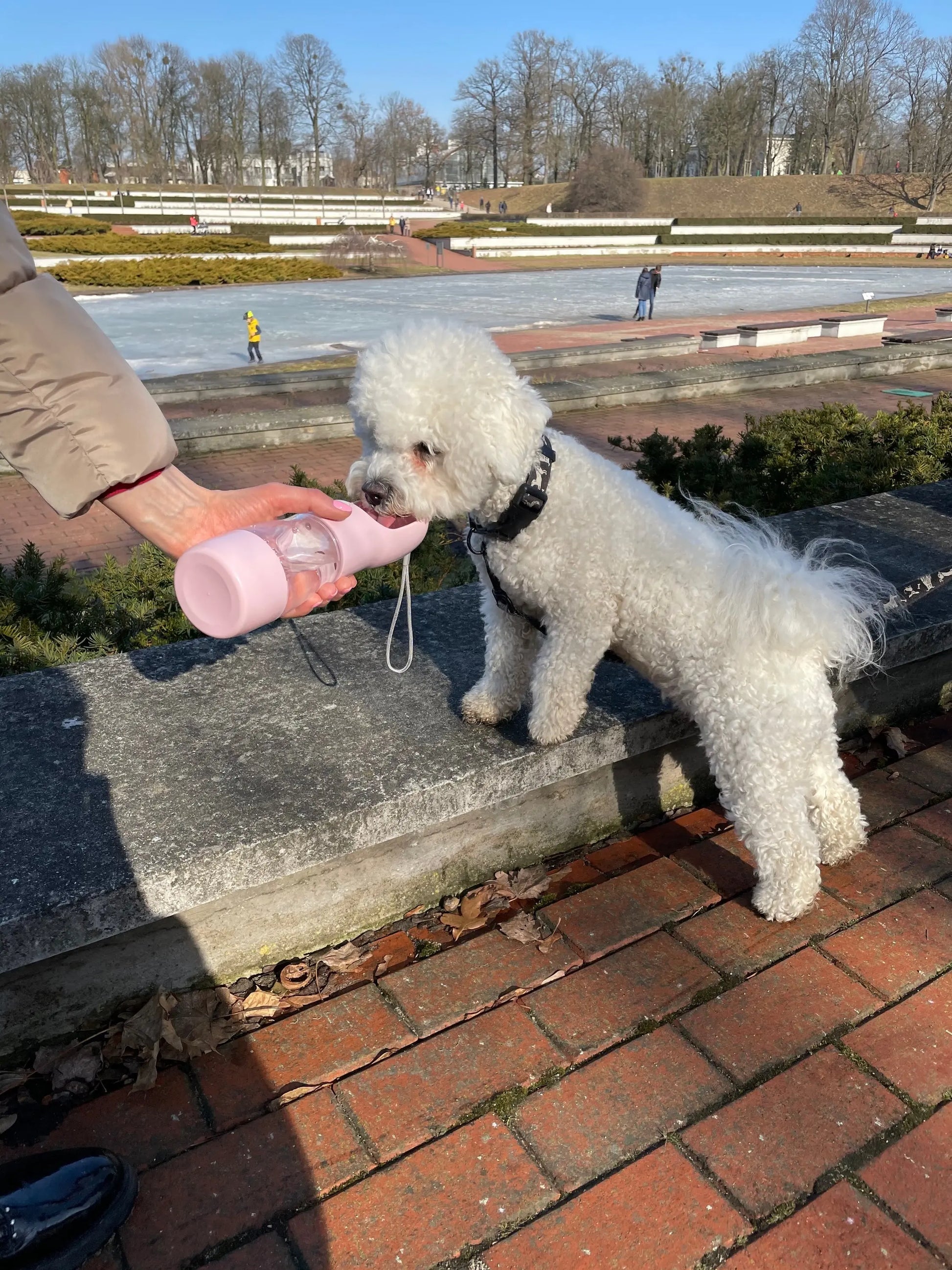 Portable Pet Food & Water Bottle Teal Winterberry