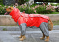 Pet dog raincoat, dog clothing processing, clothing and clothing, big dog raincoat, four legged golden fur, large dog eprolo