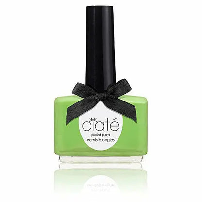 The Paint Pot Nail Polish - Mojito Violet Deianeira