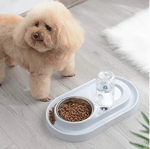 Stainless Steel Pet Bowls with Automatic Water Bottle Tan Cress