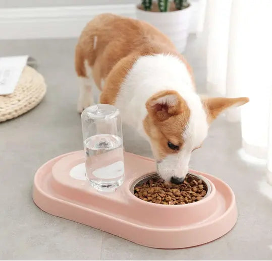 Stainless Steel Pet Bowls with Automatic Water Bottle Tan Cress