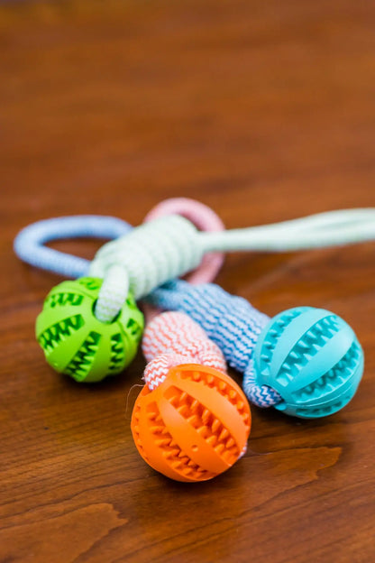 Durable Rubber Ball Chew Toy with Cotton Rope Teal Zeus