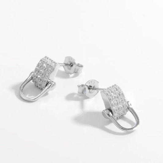 925 Sterling Silver Inlaid Zircon Earrings Trendsi