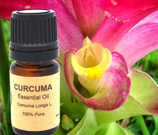 Turmeric Curcuma Essential Oil 10ml or 15 ml - My Store Diffusers, Oils & Candles 