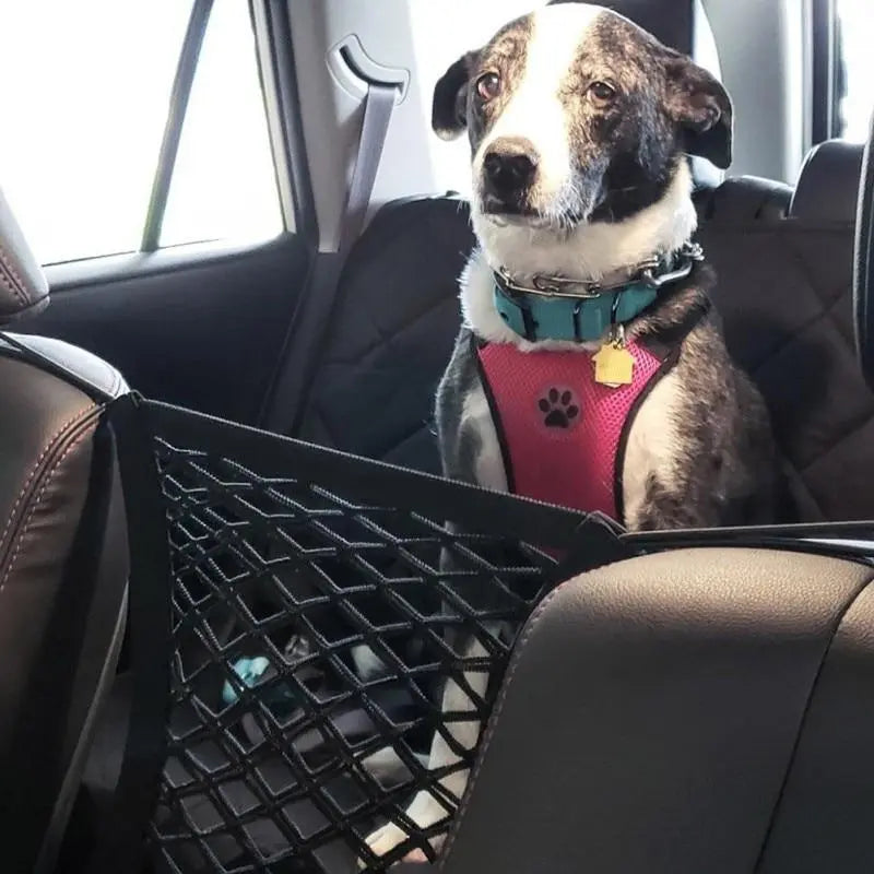 High Quality Premium Pet Car Net Petition Yellow Pandora