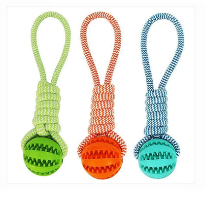 Durable Rubber Ball Chew Toy with Cotton Rope Teal Zeus