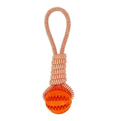 Durable Rubber Ball Chew Toy with Cotton Rope Teal Zeus