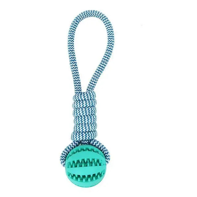 Durable Rubber Ball Chew Toy with Cotton Rope Teal Zeus