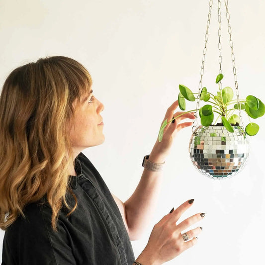 Disco Ball Planter Agardite